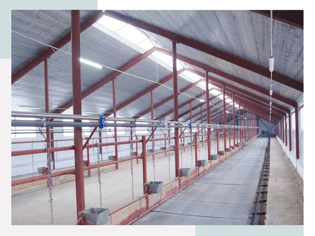 Строительство коровников в Апатитах от 622 руб.