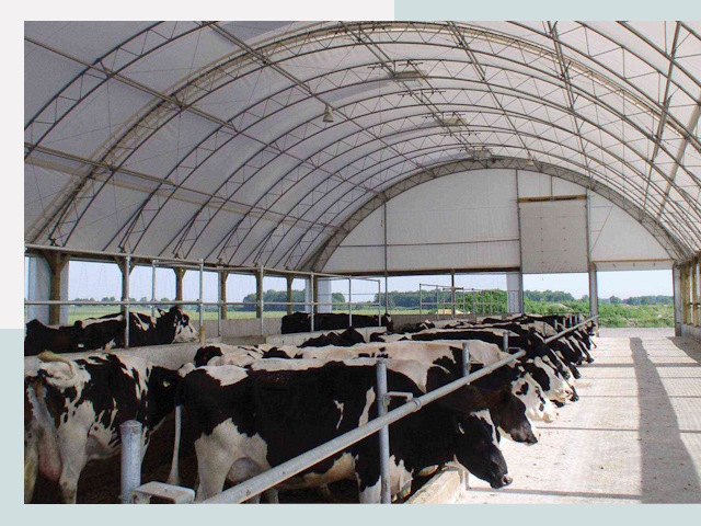 Тентовые коровники в Апатитах